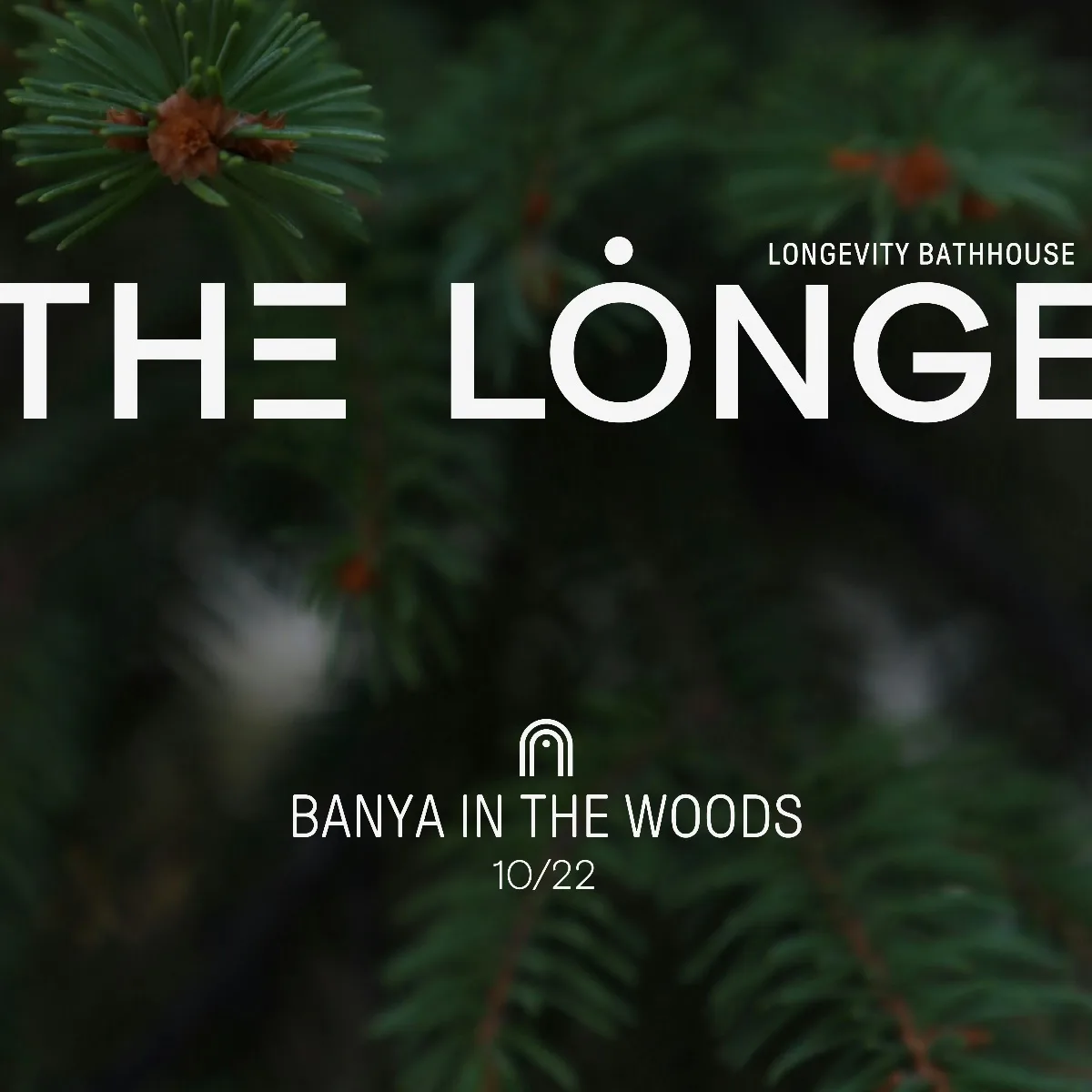 THE LONGE Series 3: Banya in the Woods